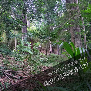横浜の森で合同散骨を委託するプラン