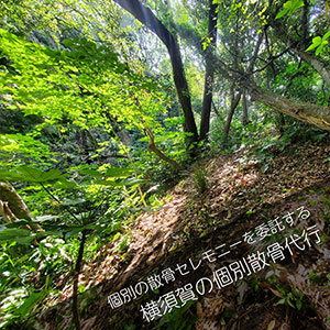 横須賀の森で散骨セレモニーを委託するプラン