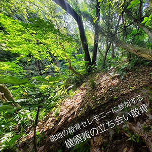 横須賀の森で散骨セレモニーに立ち会うプラン