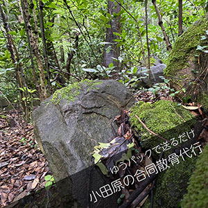 小田原の森で合同散骨を委託するプラン