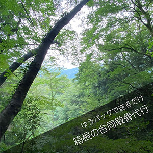 箱根の森で合同散骨を委託するプラン