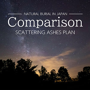 COMPARISON Scattering ashes plan