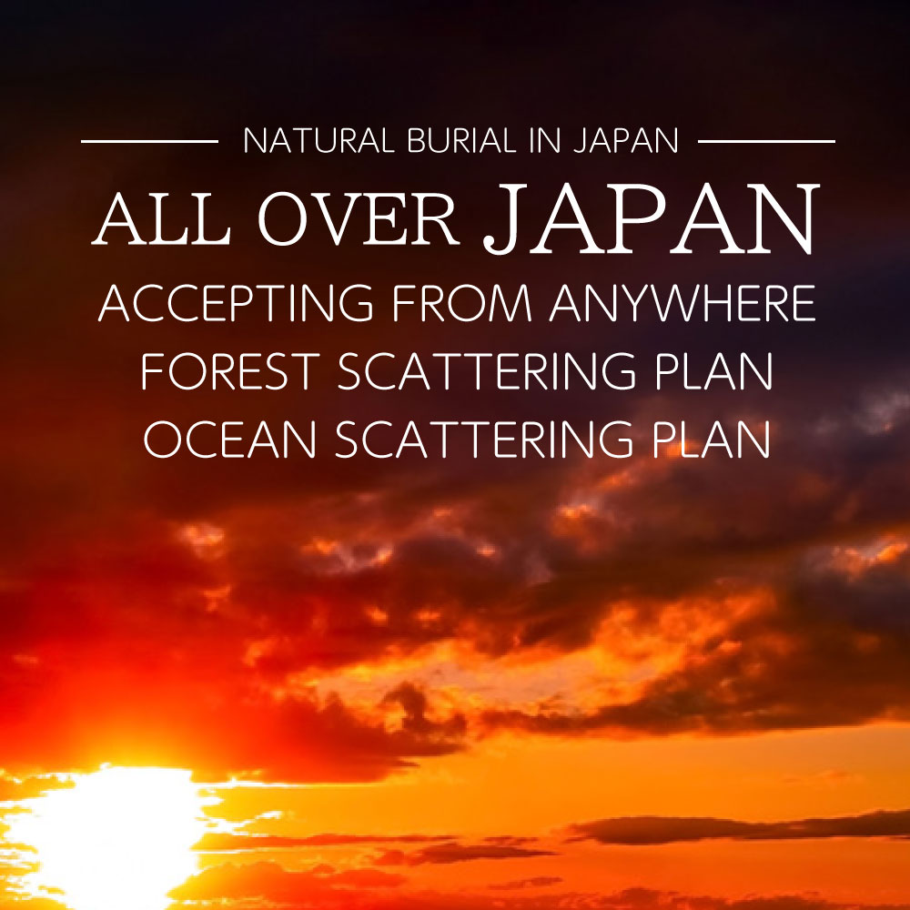 We accept applications from anywhere!