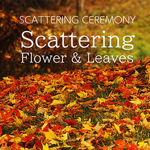 As a ceremony to help the deceased become one with nature, seasonal flowers and leaves are scattered over the area where the ashes have been scattered.