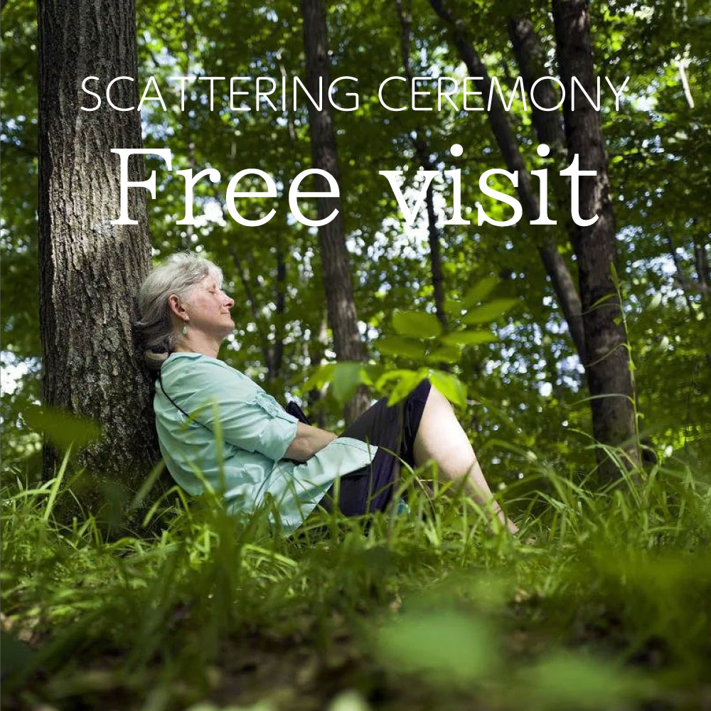 After that, you are free to visit any time.