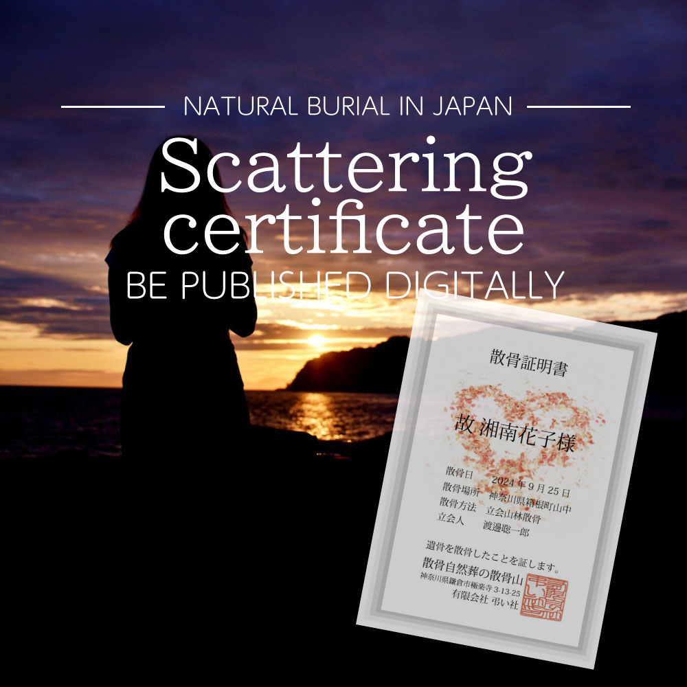 Scattering certificate