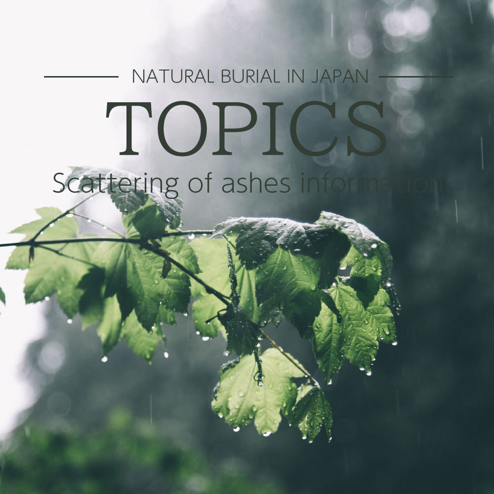 Scattering of ashes information topics