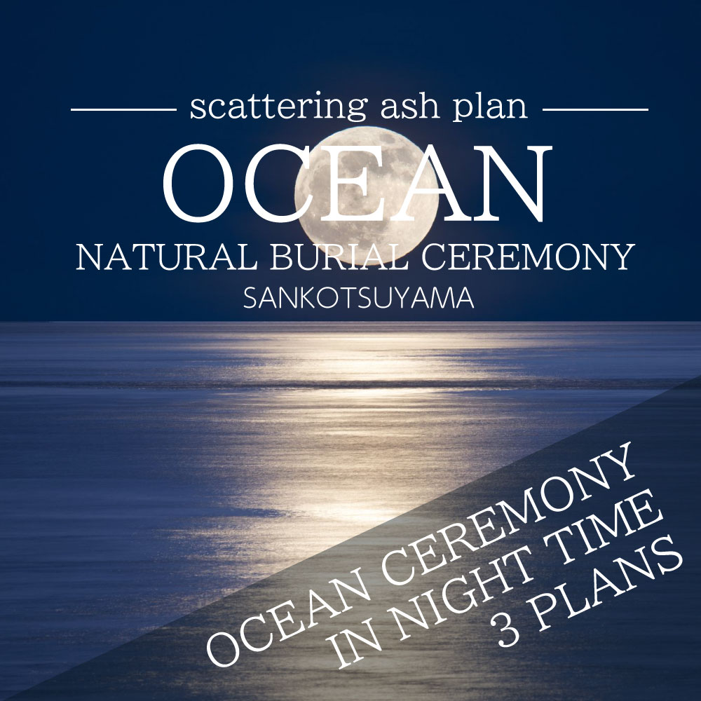OCEAN SCATTERING PLAN