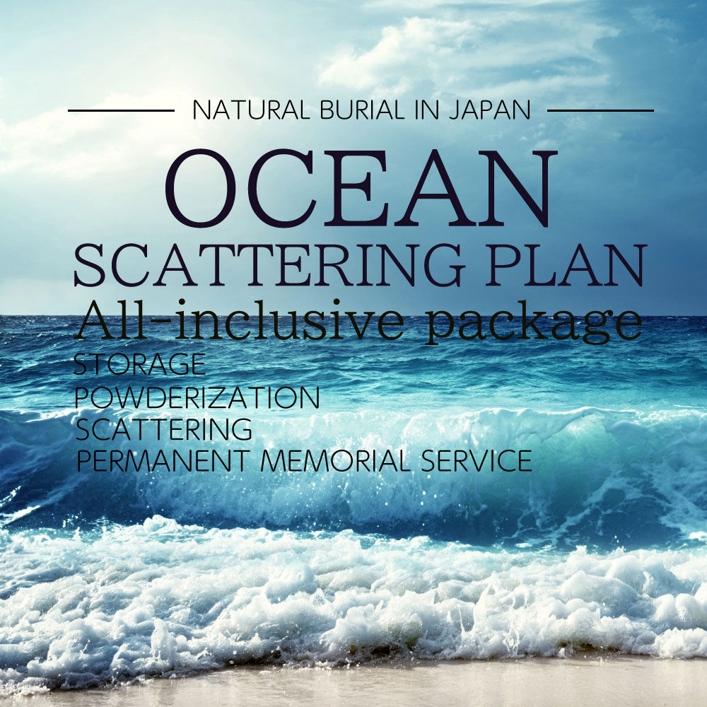 OCEAN SCATTERING PLAN