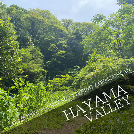 COLLECTIVE FOREST SCATTERING AGENCY PLAN in Hayama