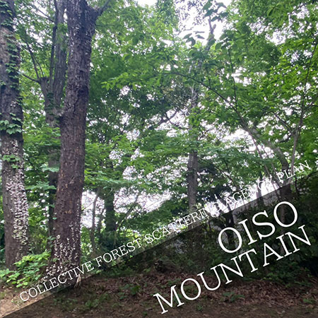 COLLECTIVE FOREST SCATTERING AGENCY PLAN in Oiso