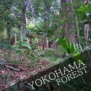 COLLECTIVE FOREST SCATTERING AGENCY PLAN Maybe in the forest of Yokohama?