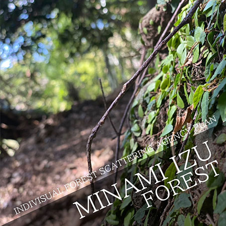INDIVISUAL FOREST SCATTERING AGENCY PLAN in Minami-izu
