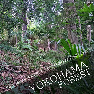 INDIVISUAL FOREST SCATTING AGENCY PLAN in Yokohama