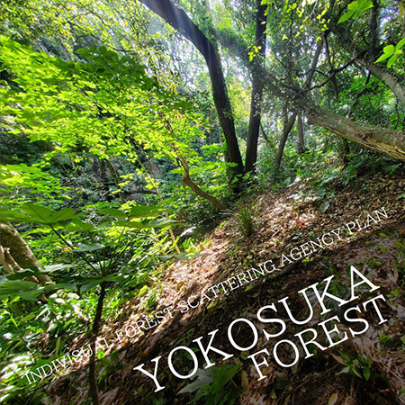 INDIVISUAL FOREST SCATTERING AGENCY PLAN in Yokosuka