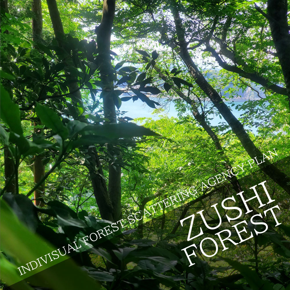 INDIVISUAL FOREST SCATTERING AGENCY PLAN Scattering in the forest of Zushi!
