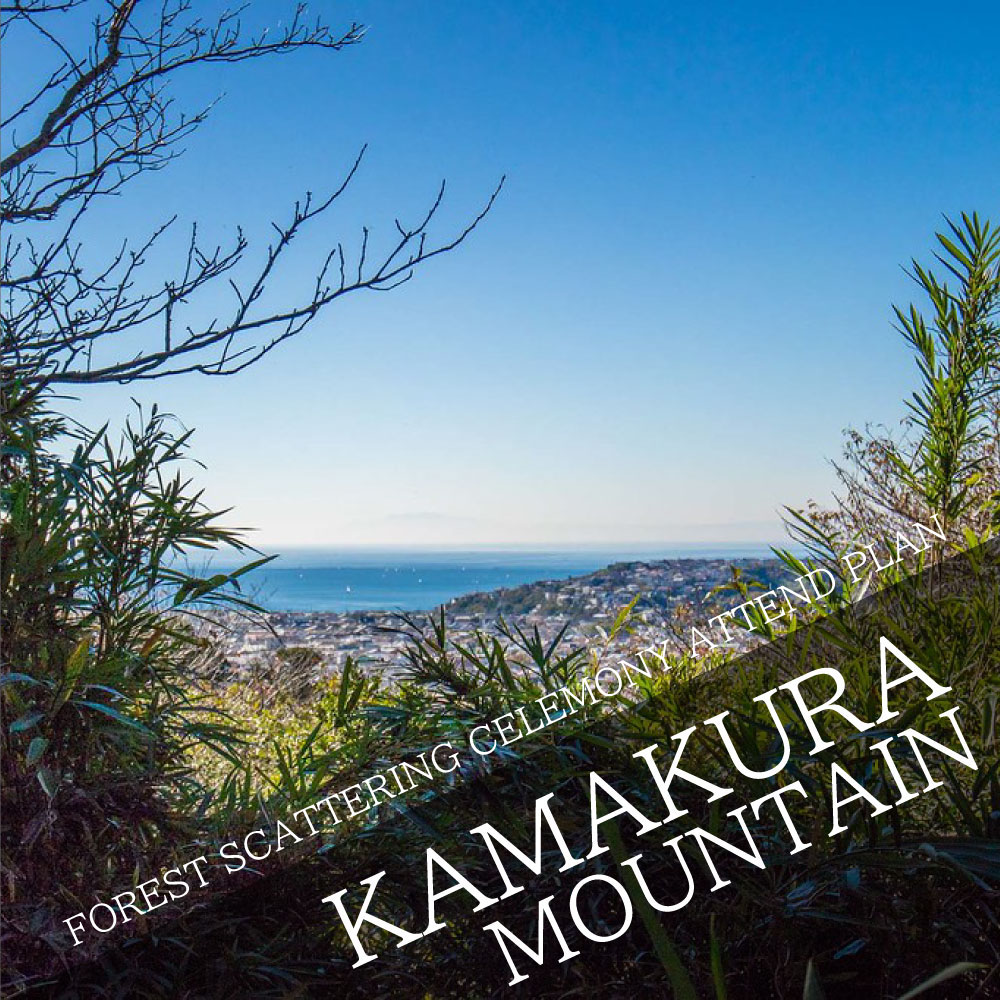 FOREST SCATTERING CELEMONY ATTEND PLAN Scattering in the mountains of Kamakura!