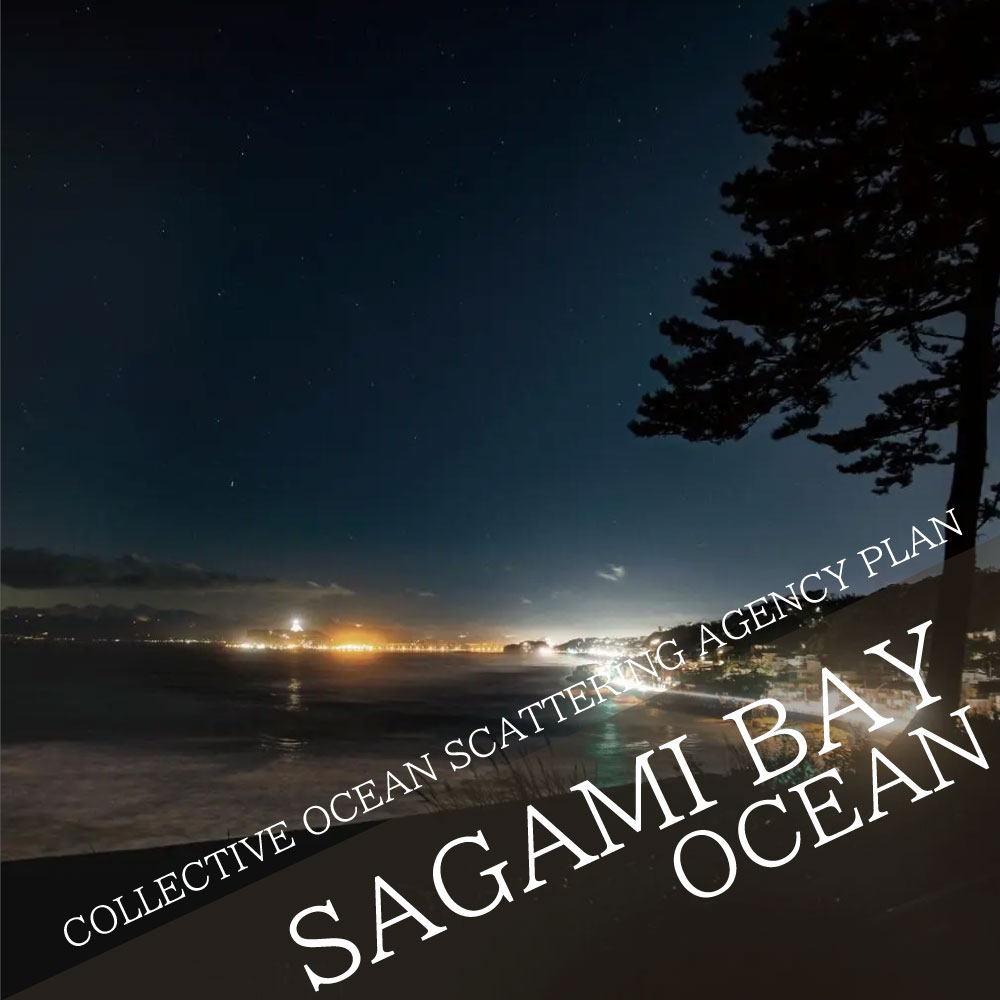 COLLECTIVE OCEAN SCATTERING AGENCY PLAN Maybe in the ocean of Sagami bay?