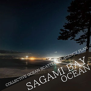 COLLECTIVE OCEAN SCATTERING AGENCY PLAN Maybe in the ocean of Sagami bay?