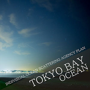 INDIVISUAL OCEAN SCATTERING AGENCY PLAN in Tokyo bay