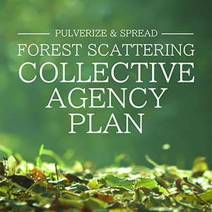 Forest Scattering COLLECTIVE AGENCY PLAN