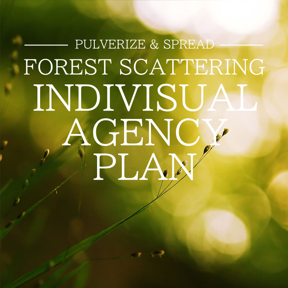 INDIVISUAL FOREST SCATTERING AGENCY PLAN
