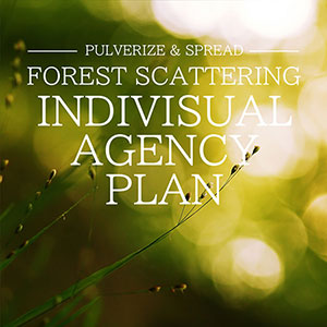 Forest Scattering INDIVISUAL AGENCY PLAN