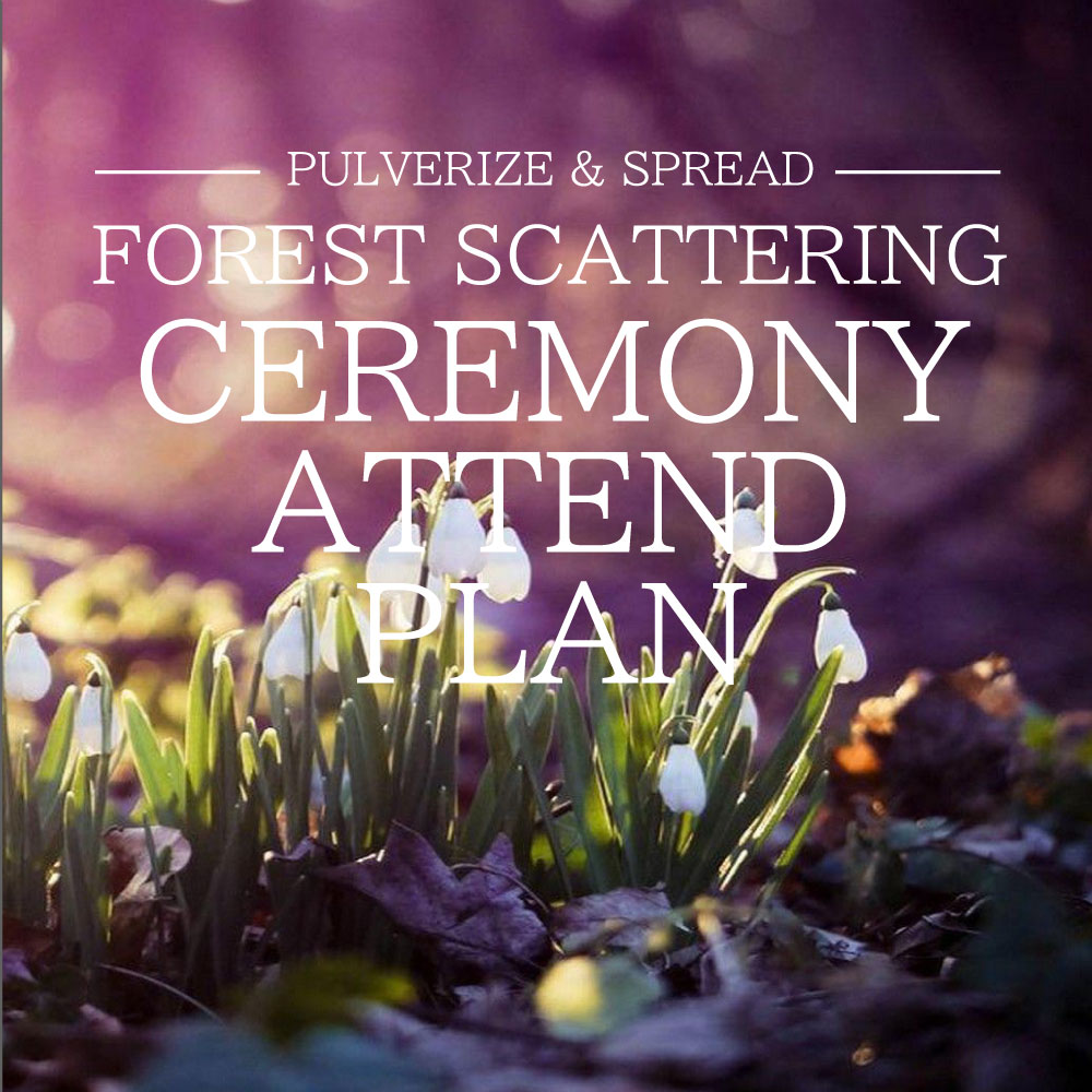 FOREST SCATTERING CELEMONY ATTEND PLAN