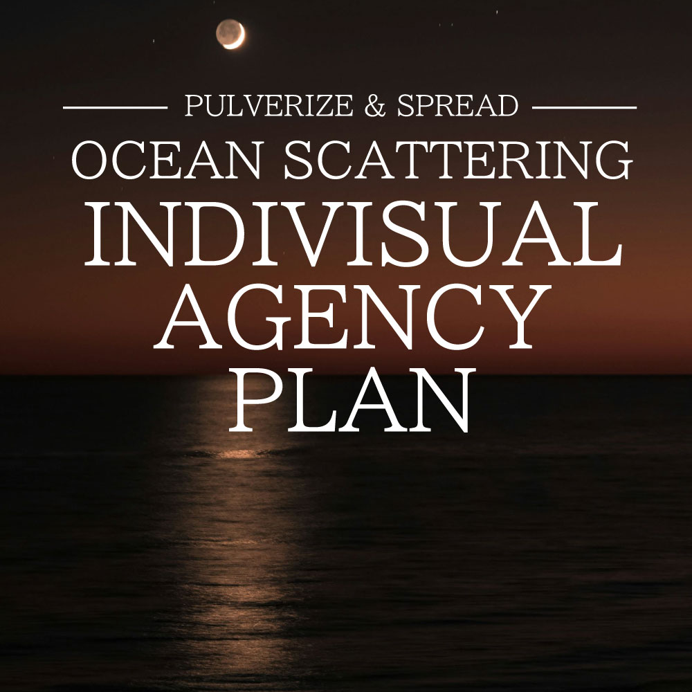 INDIVISUAL OCEAN SCATTERING AGENCY PLAN