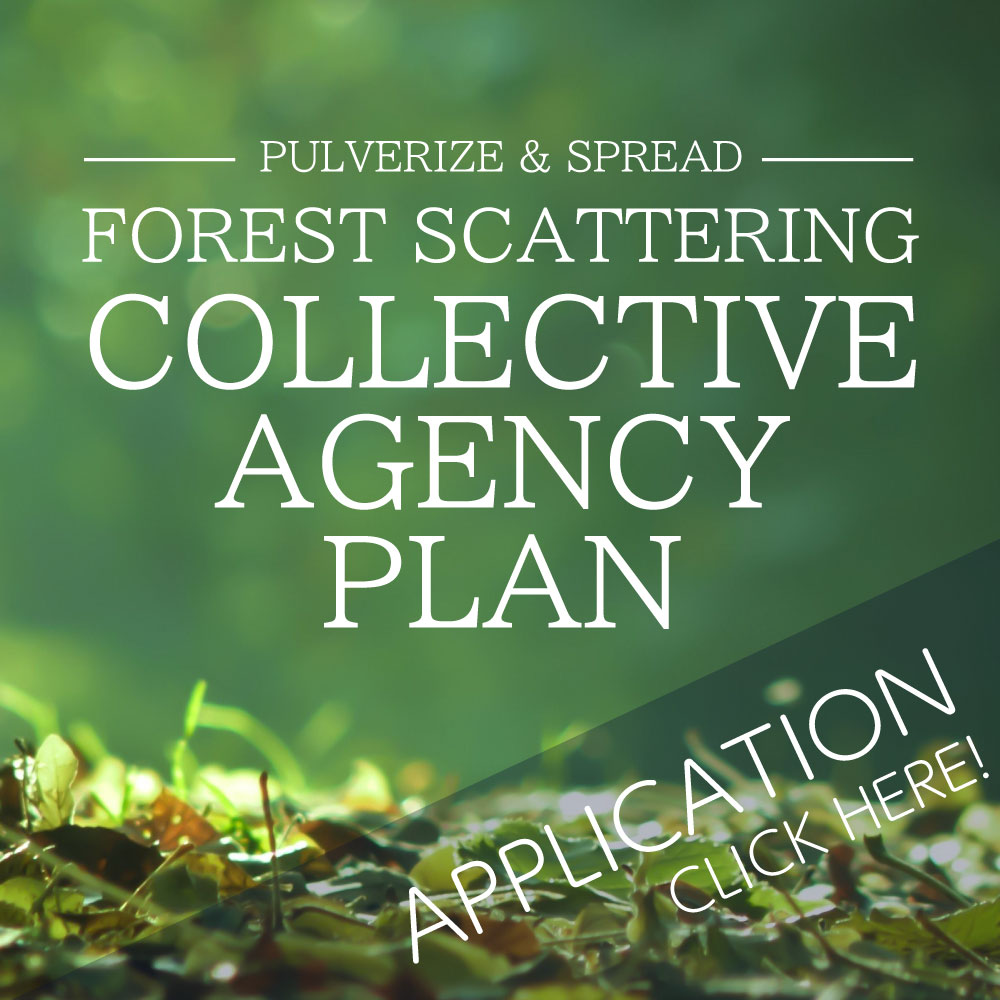 Application for COLLECTIVE FOREST SCATTERING AGENCY PLAN
