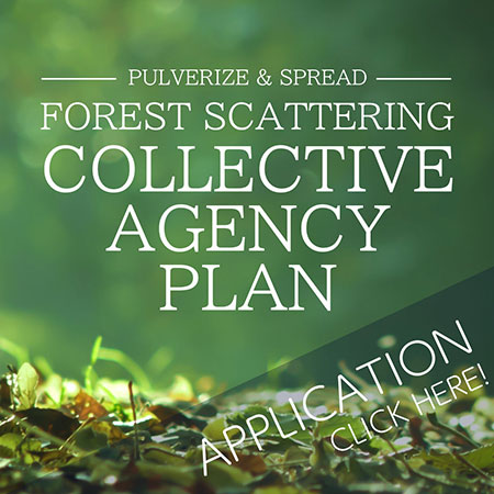 Apply for COLLECTIVE FOREST SCATTERING AGENCY PLAN