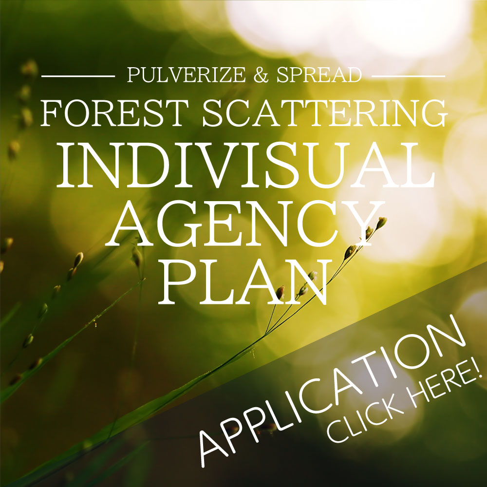 Apply for INDIVISUAL FOREST SCATTERING AGENCY PLAN