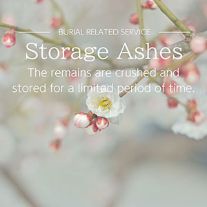 The remains are crushed and stored for a limited period of time.