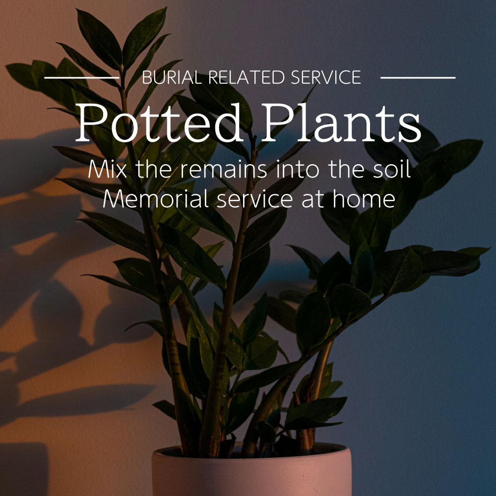 Home memorial service with potted plants