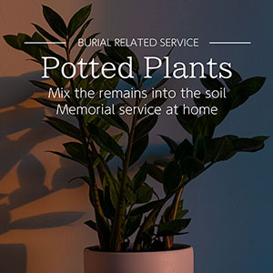 Home memorial service with potted plants