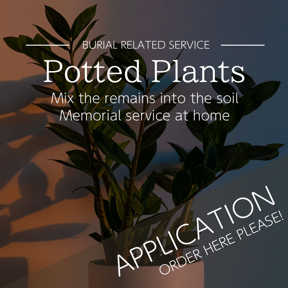 Home memorial service with potted plants