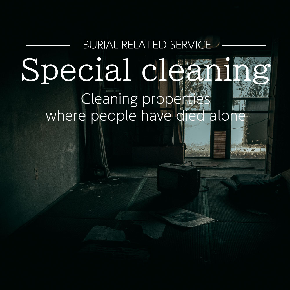 special cleaning