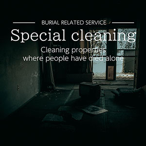 special cleaning