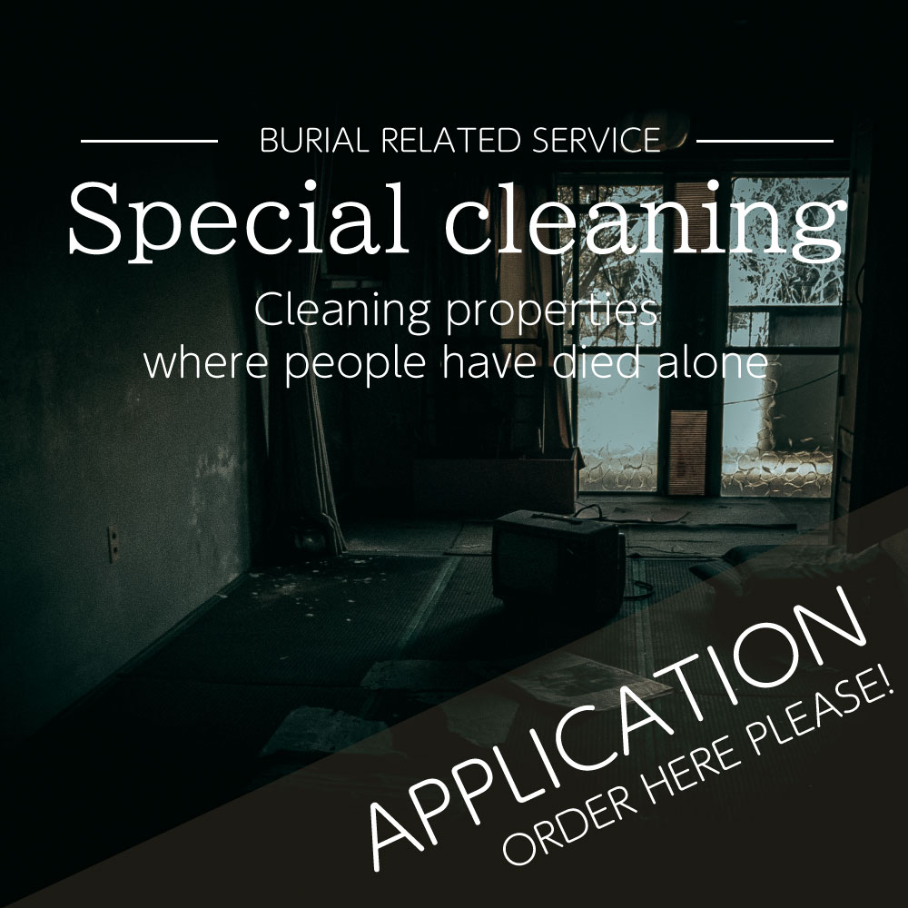 special cleaning