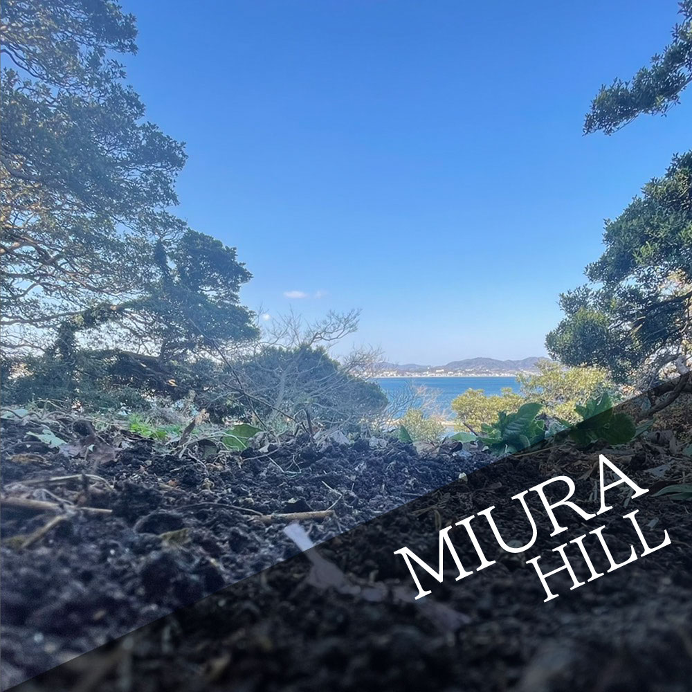 Scattering ash in Miura Hill