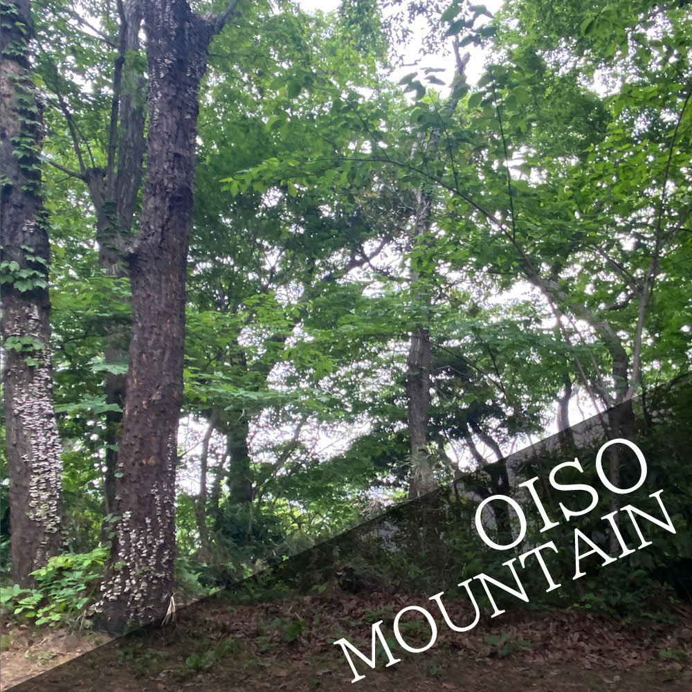 Scattering ash in Oiso Mountain