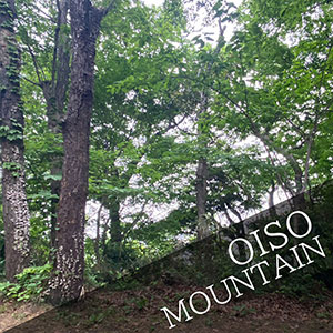 Scattering ash in Oiso mountain