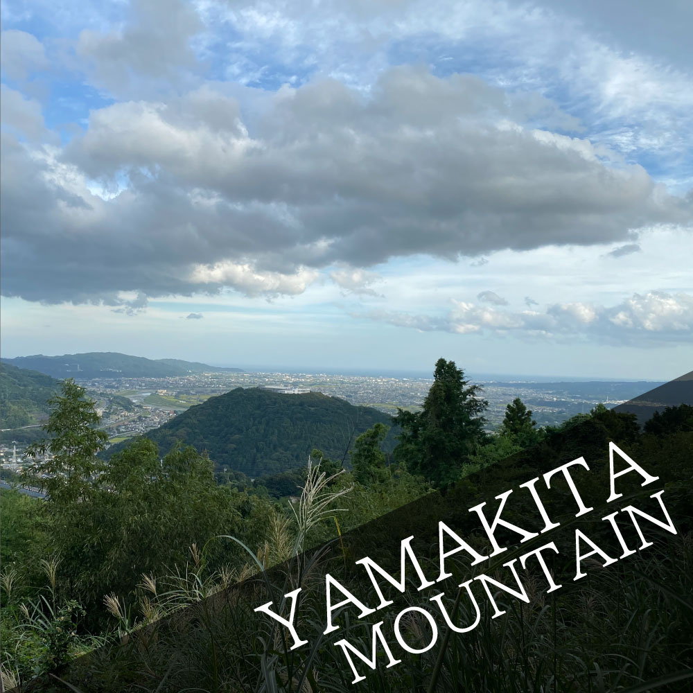 Scattering ash in Yamakita Mountain