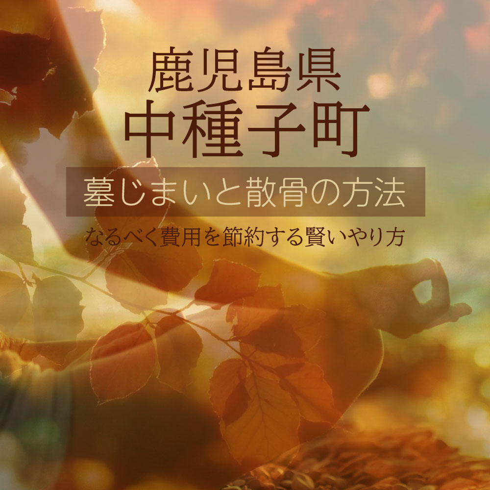 中種子町の墓じまいガイド