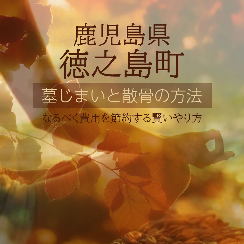 徳之島町の墓じまいガイド