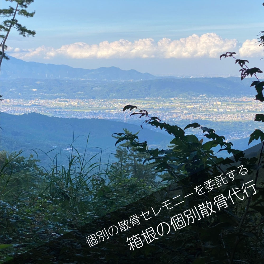 箱根の山林散骨＿個別散骨代行プラン